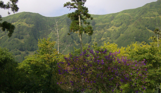 Açores (2007)