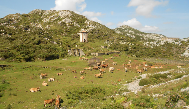 Astúrias (2012)