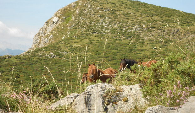 Astúrias (2012)