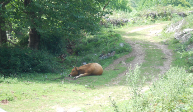 Astúrias (2012)