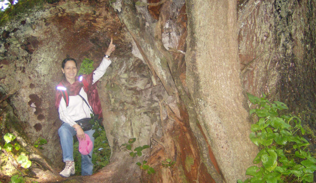 Canadá (2009)