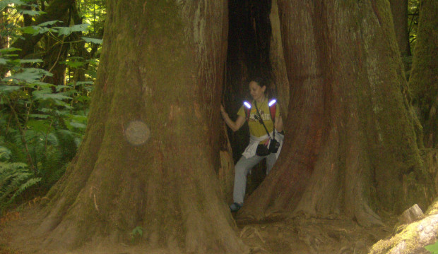 Canadá (2009)