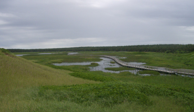 Canadá (2010)