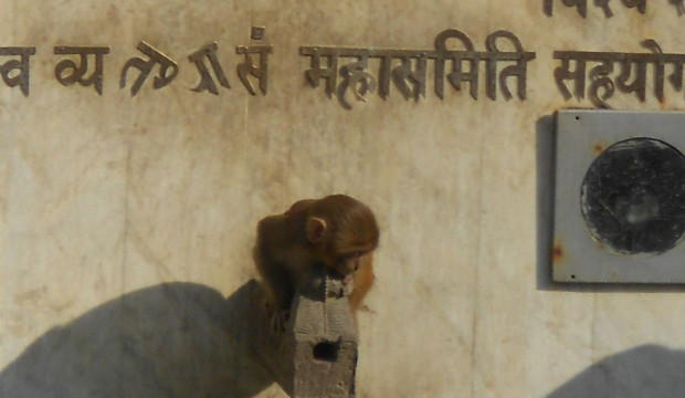 Nepal (2012)